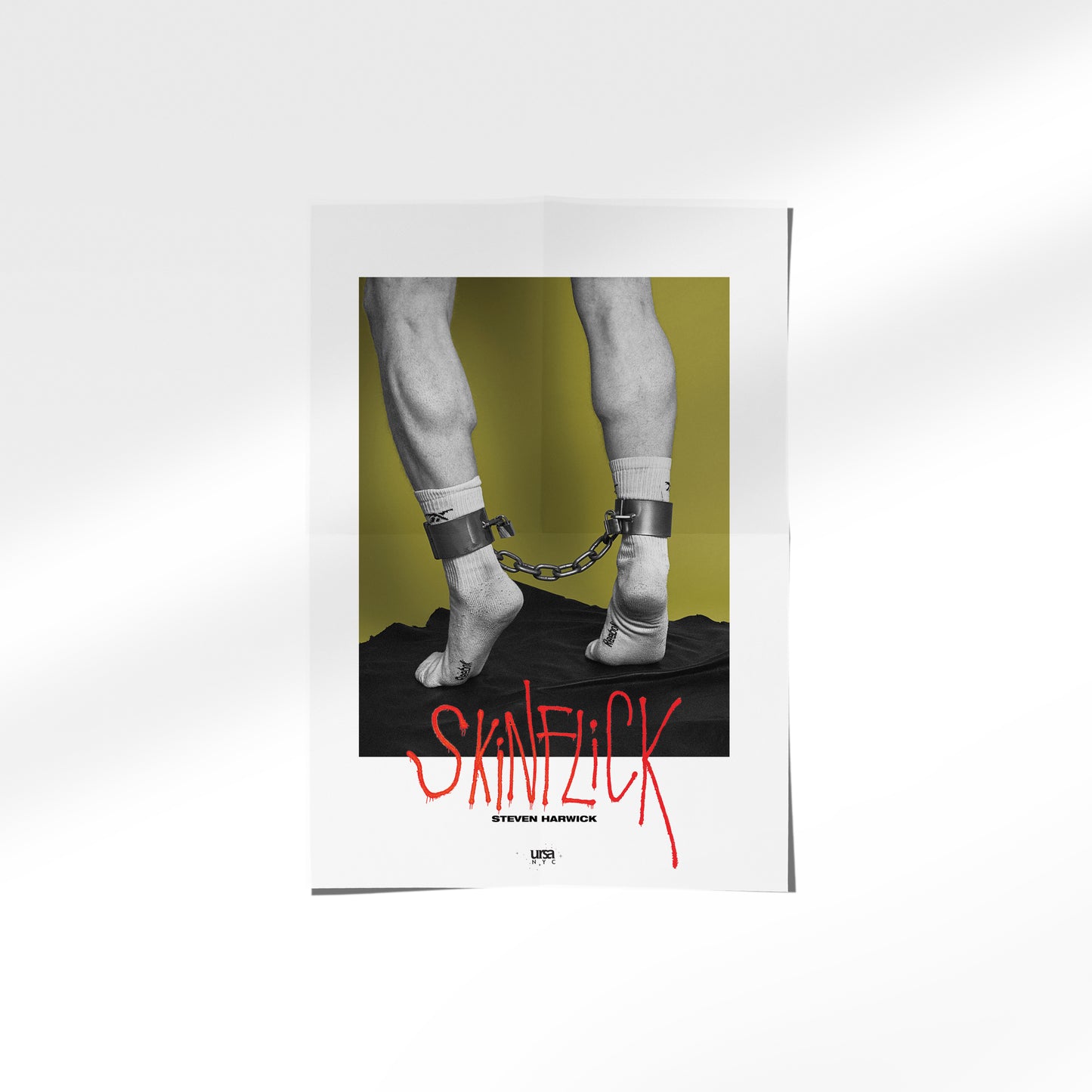 SKiNFLiCK Poster - Socks