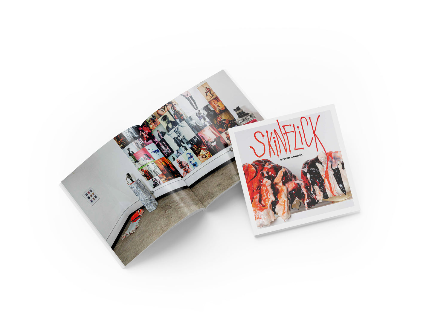 SKiNFLiCK Catalog