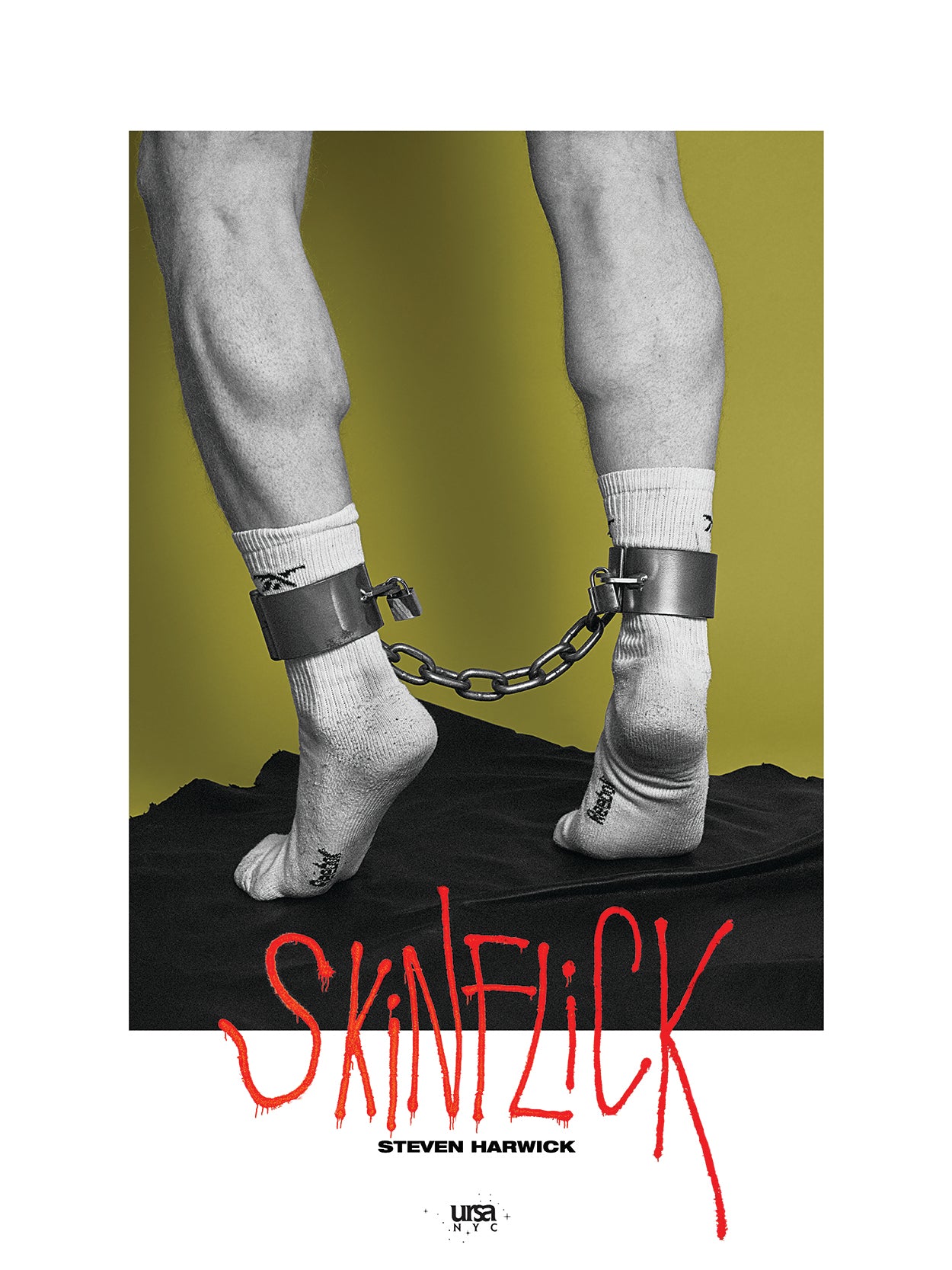 SKiNFLiCK Poster - Socks